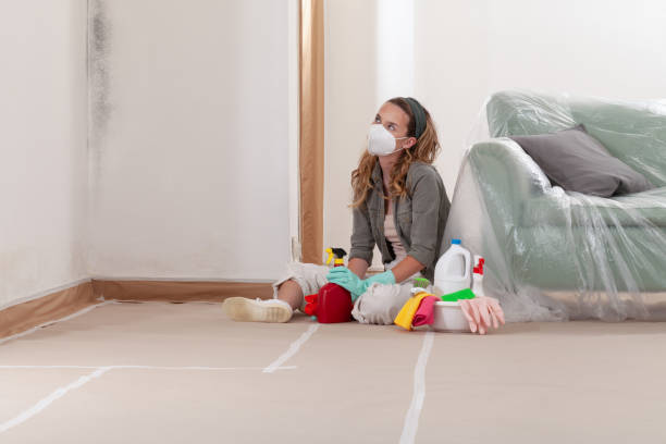 Reliable Mold Remediation contractor in Washington Grove, MD by WQB Mold Removal